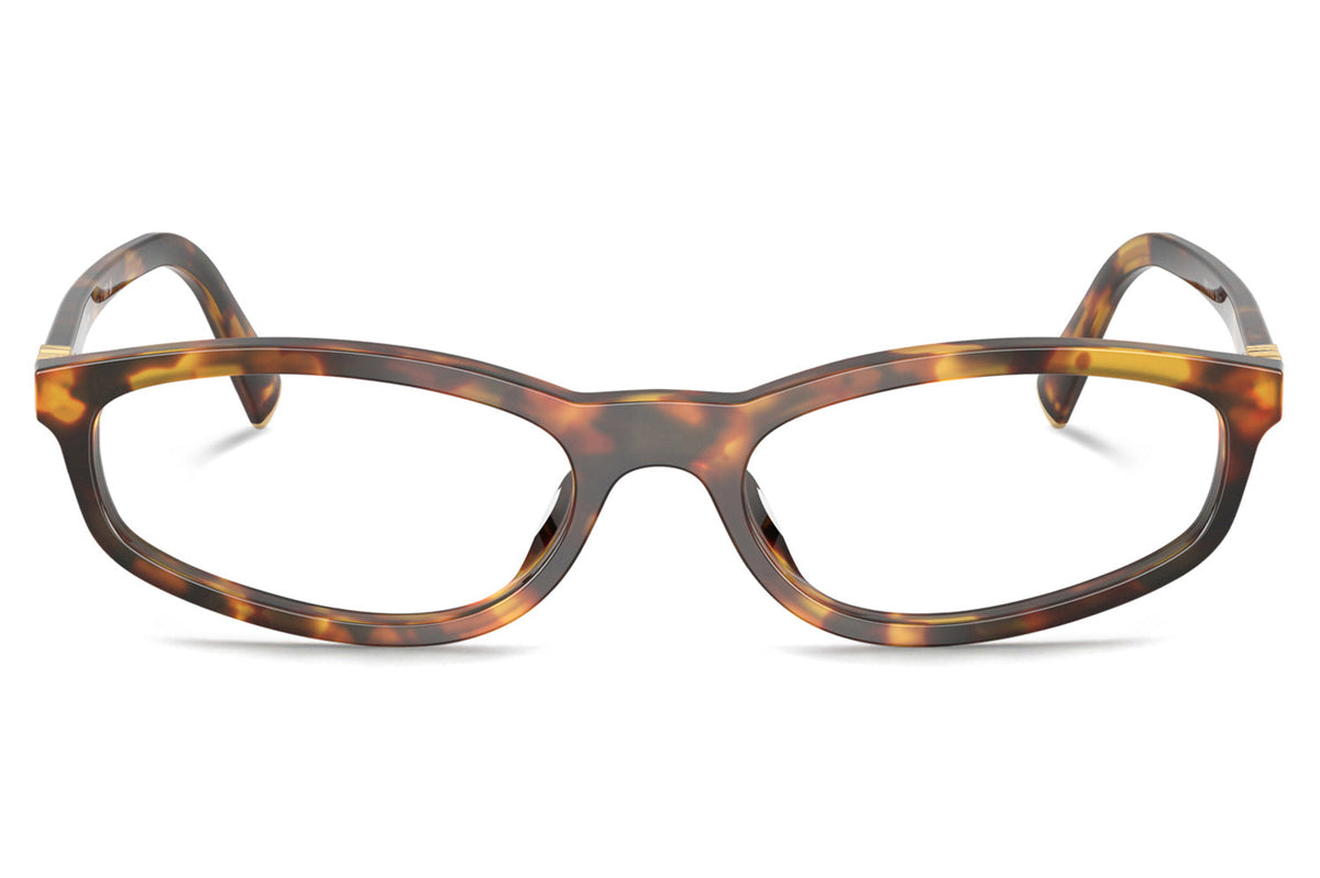 Lunettes de vue Miu Miu Regard MU 01ZV – Havana miel 14L101