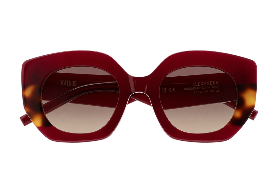 Lunettes de soleil KALEOS Alexander